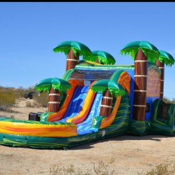 CALI PALMS DUAL LANE BOUNCE HOUSE WITH SLIDE WET OR DRY