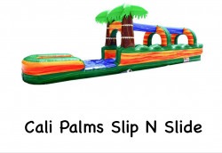 CALI PALMS SLIP N SLIDE