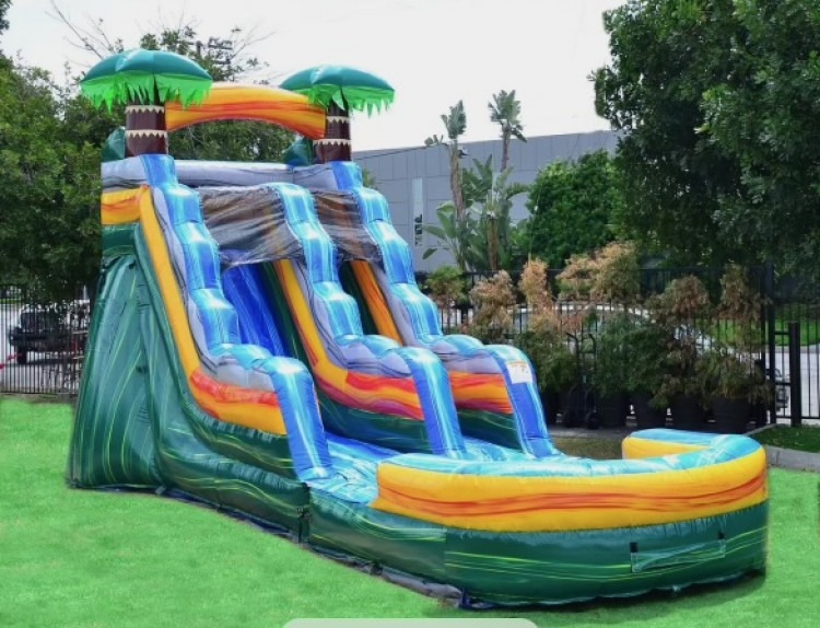 CALI PALMS 15 FT SLIDE WET OR DRY