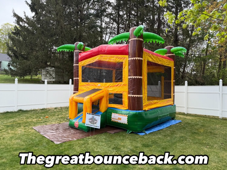 CALI PALMS BOUNCE HOUSE