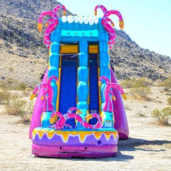 mysterious193 1748187383 MYSTERIOUS JUNGLE 19 FT SLIDE WET OR DRY
