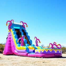 mysterious194 1748187384 MYSTERIOUS JUNGLE 19 FT SLIDE WET OR DRY