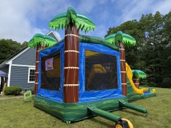 CAICOMBO3 1750809699 CALI PALMS DUAL LANE BOUNCE HOUSE WITH SLIDE WET OR DRY