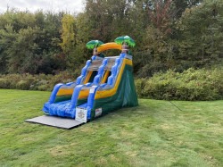 CALI PALMS 15 FT SLIDE WET OR DRY
