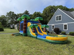 CALICOMBO2 1750809698 CALI PALMS DUAL LANE BOUNCE HOUSE WITH SLIDE WET OR DRY