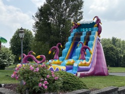 MYSTER1 1750810423 MYSTERIOUS JUNGLE 19 FT SLIDE WET OR DRY