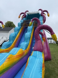 MYSTER2 1750810422 MYSTERIOUS JUNGLE 19 FT SLIDE WET OR DRY