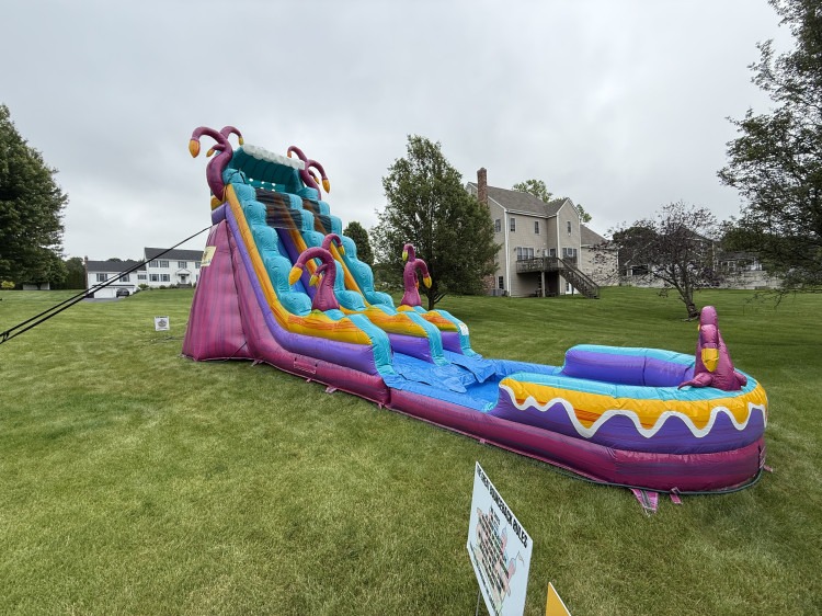 MYSTERIOUS JUNGLE 19 FT SLIDE WET OR DRY