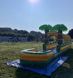 CALI PALMS SLIP N SLIDE